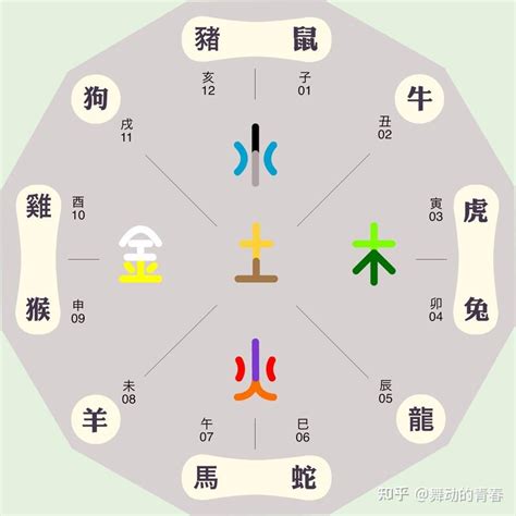 蔡 五行 屬 什麼|蔡的五行：你不知道的